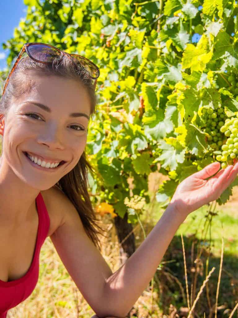 usa-intern-girl-vineyard-trainee